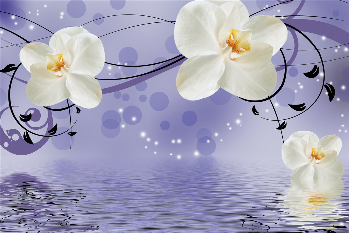 Fototapet există flori mari albe ca zăpada lângă iaz