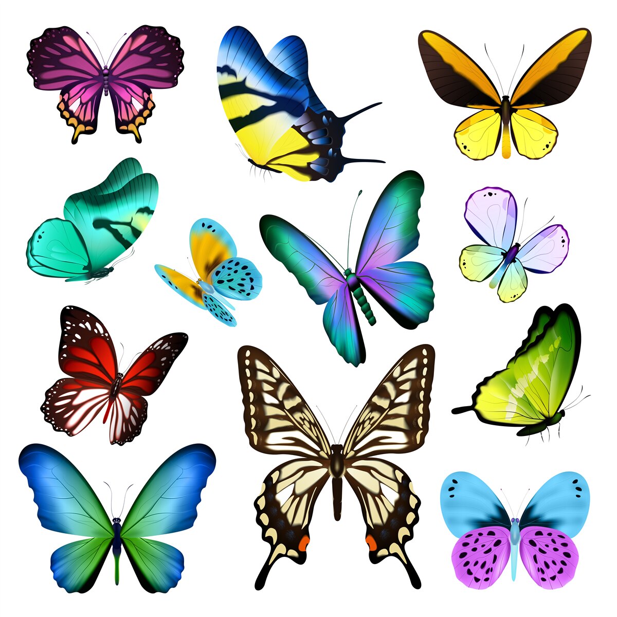 Fototapet acuarelă reprezentând frunze scandinave