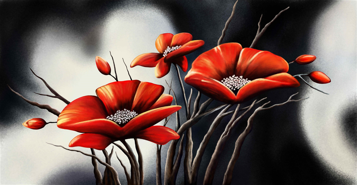 Fototapet fundal negru decorat cu maci roșii