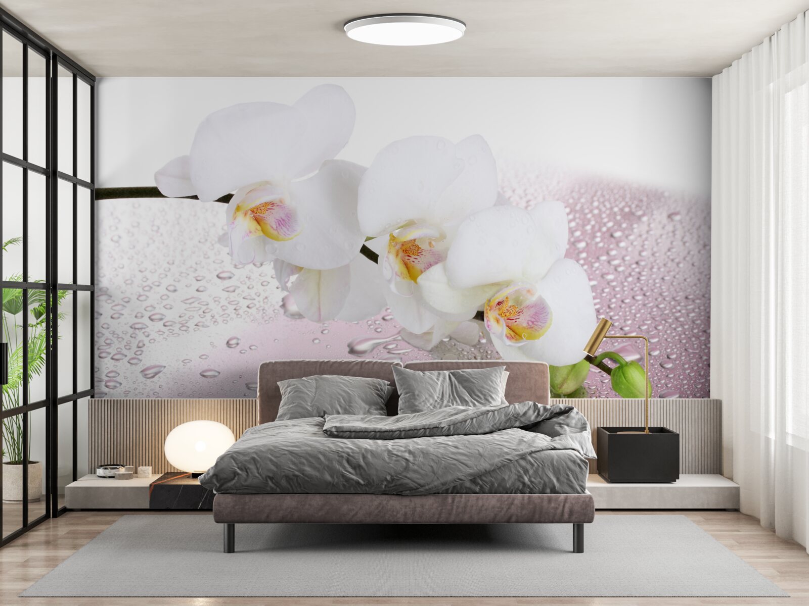 Fototapet ramură de orhidee albă umedă decorată cu picături de apă