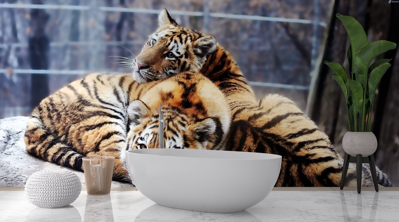 Fototapet Tigrii adormiți au frumusețe