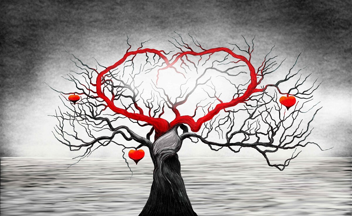 Fototapet inimă mare roșie și abanos