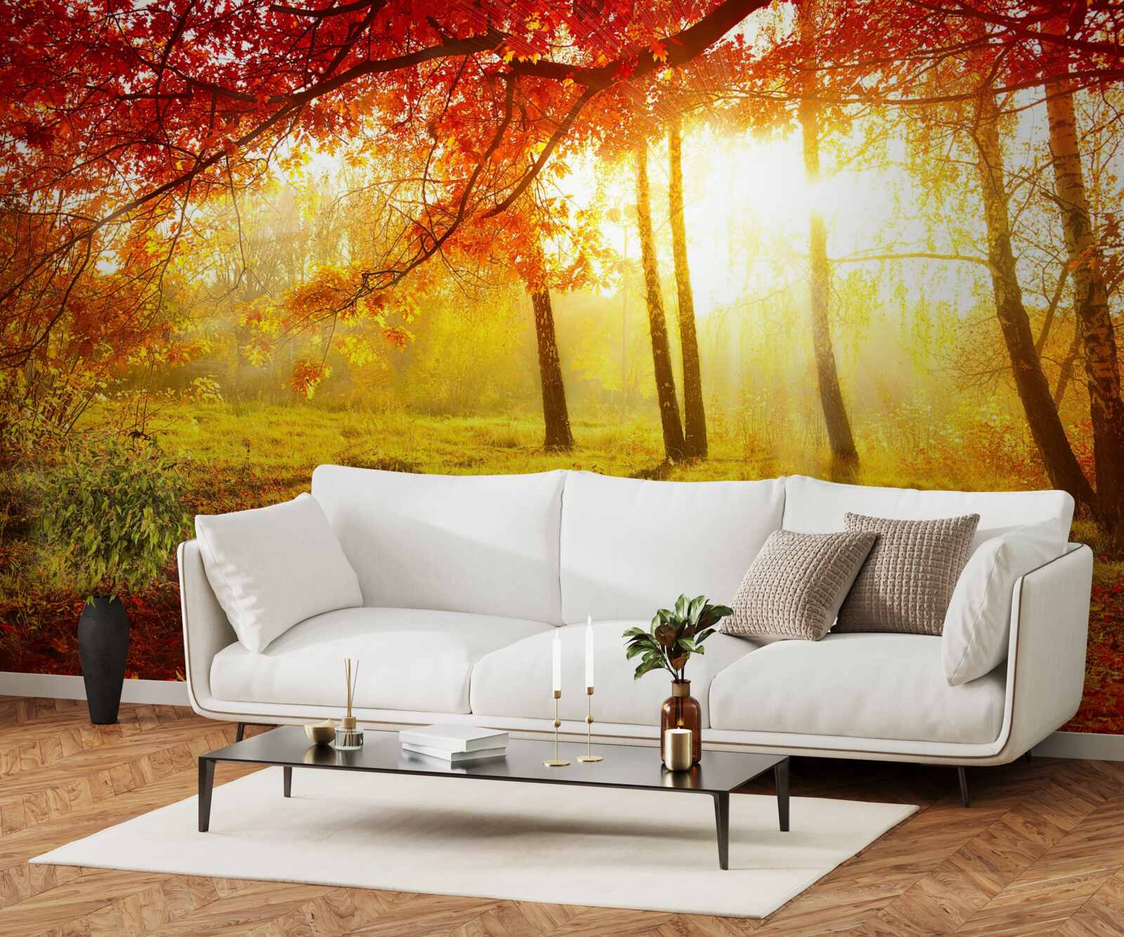 Fototapet raze reci de soare pătrund prin ceața de toamnă