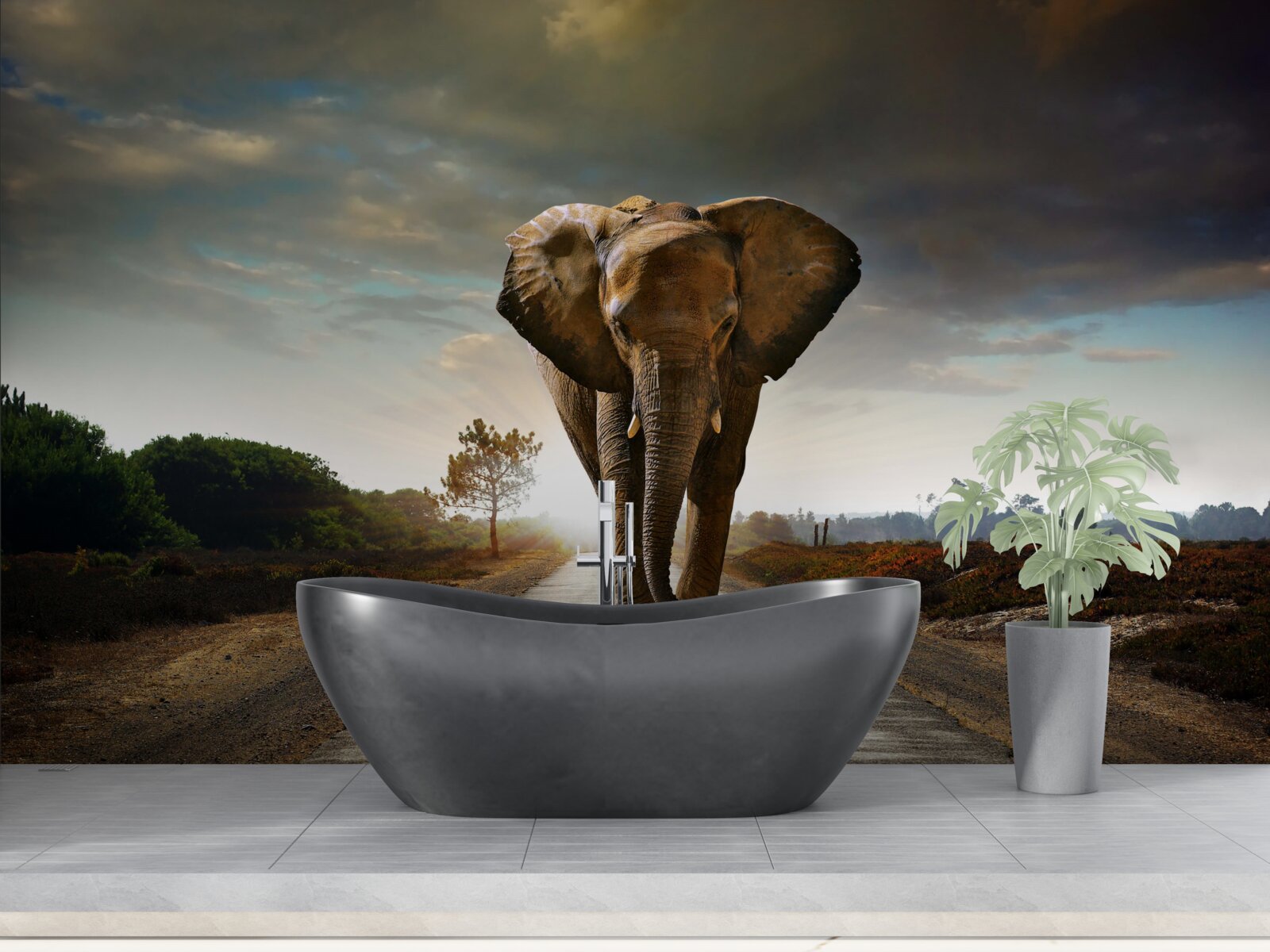Fototapet călătoria elefantului continuă