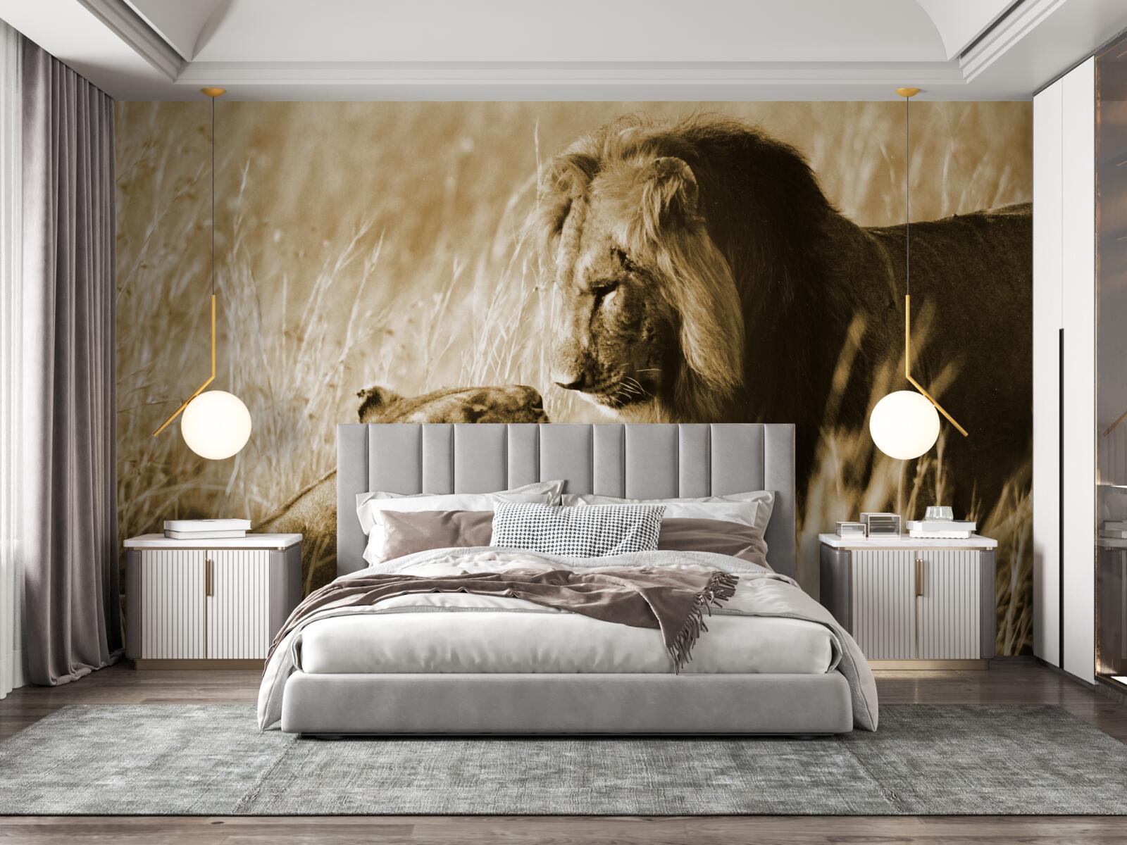 Fototapet leul și leoaica ajung să se cunoască