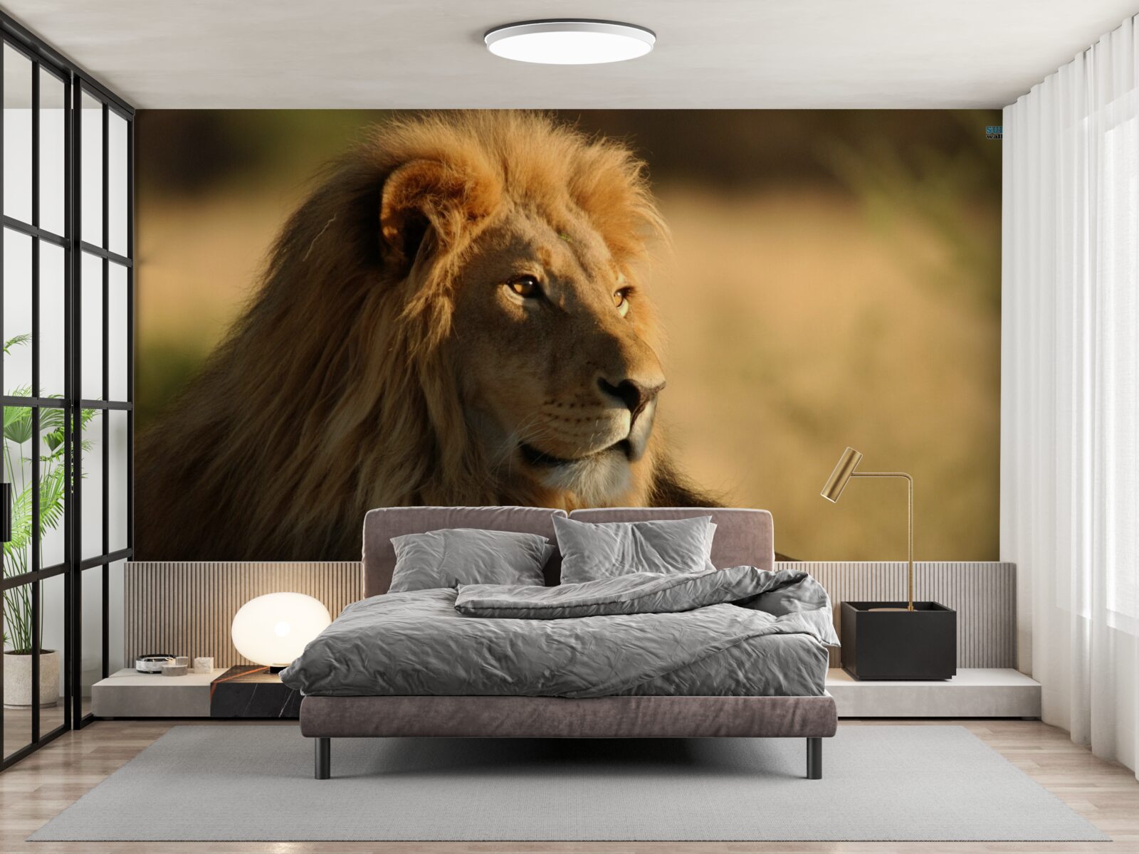 Fototapet monarh de savană în vacanță