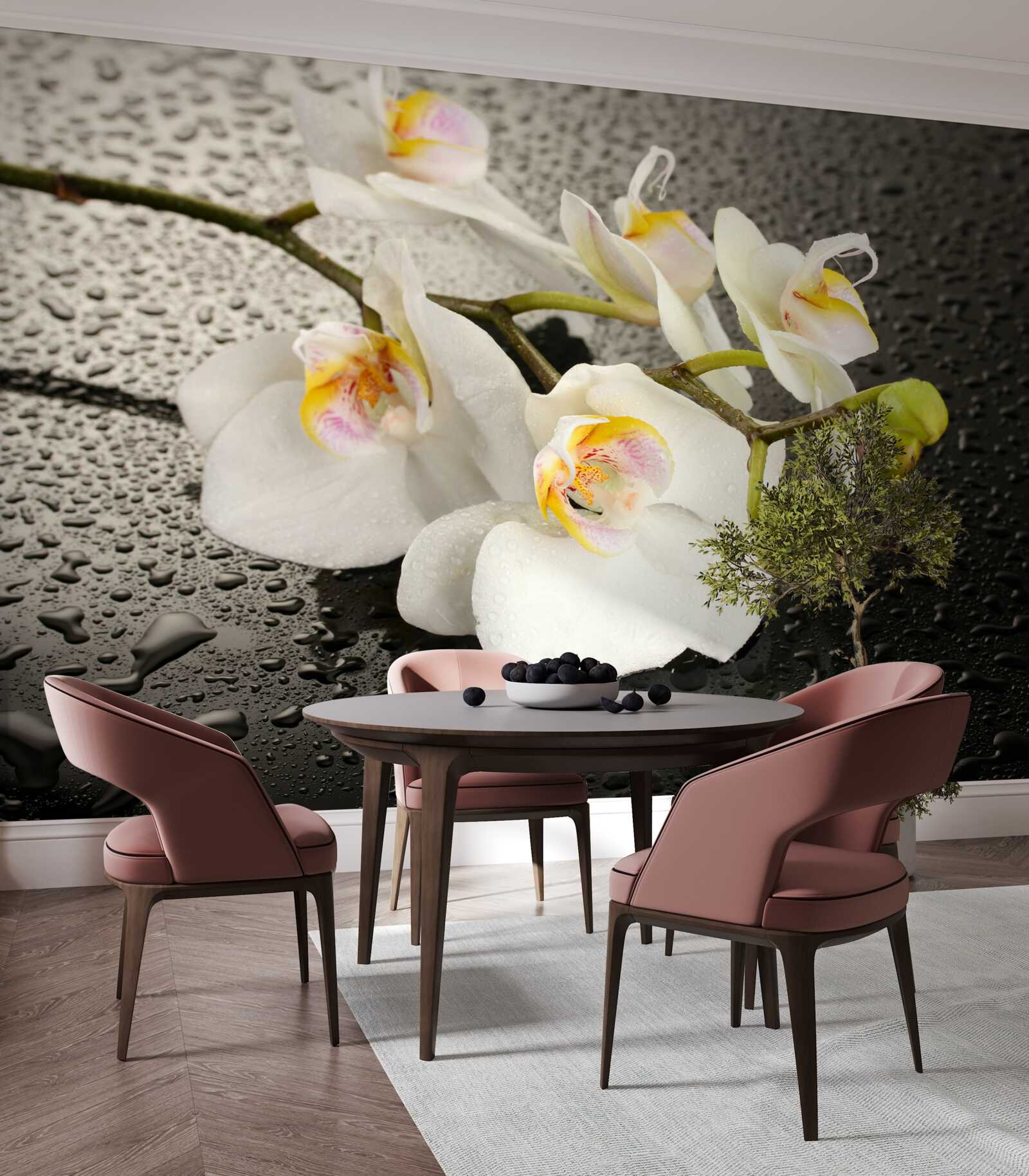 Fototapet Orhidee albă ca zăpada după o ploaie puternică