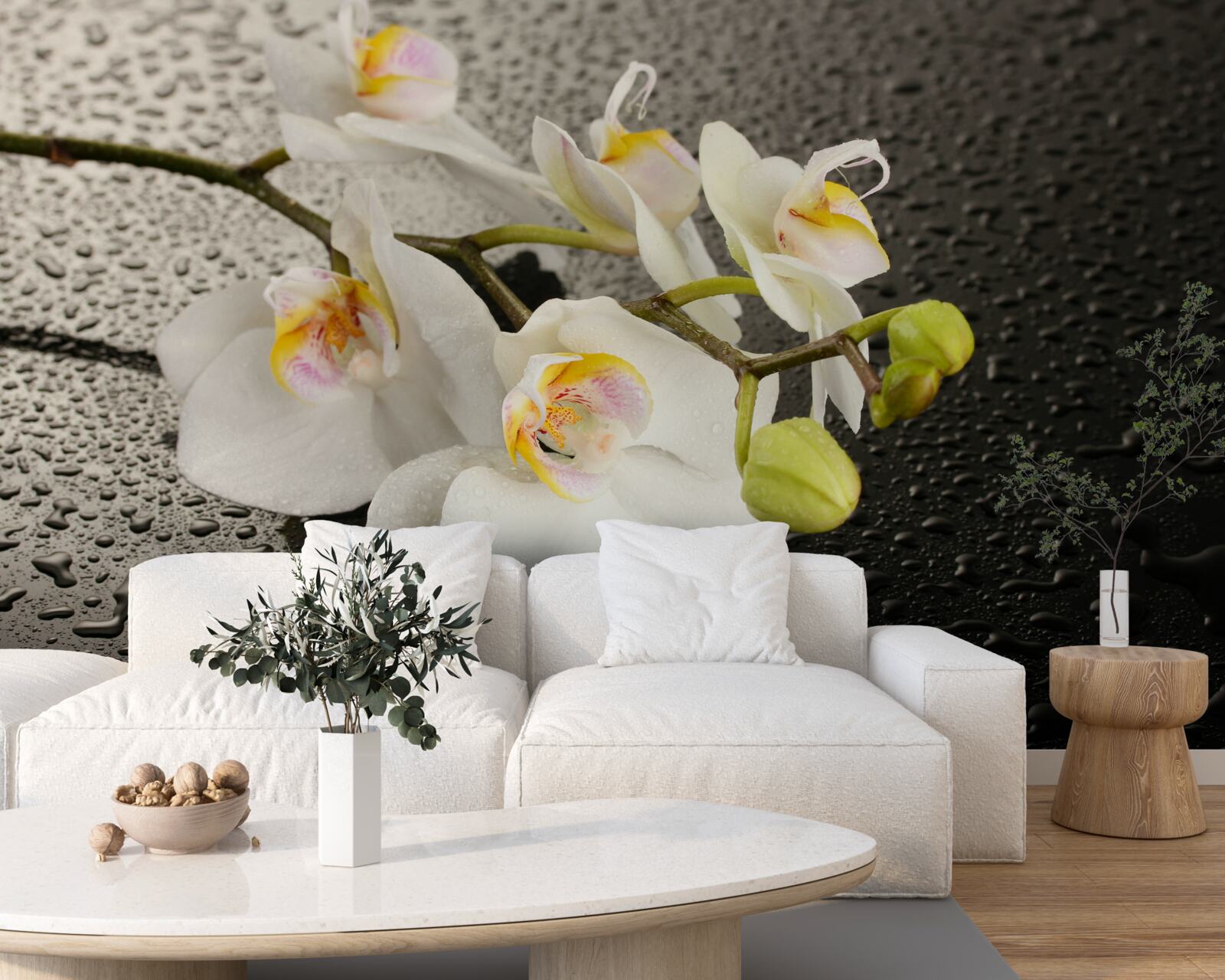 Fototapet Orhidee albă ca zăpada după o ploaie puternică