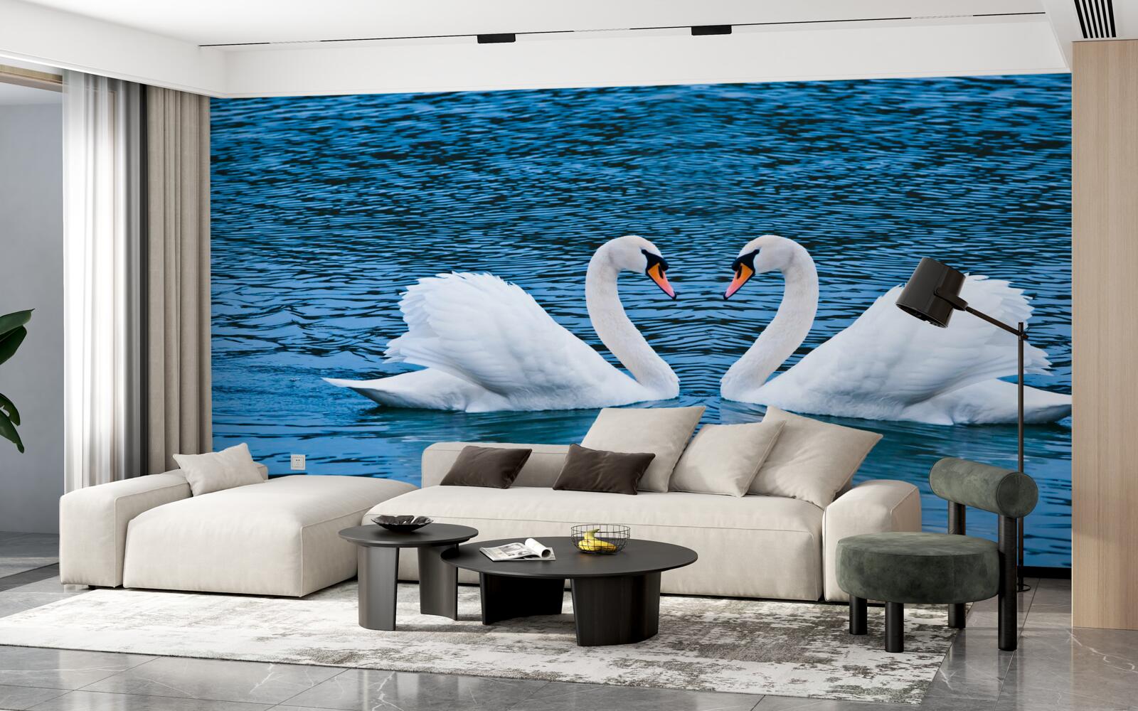 Fototapet o pereche de lebede pe suprafața apei creează o imagine de familie idilică