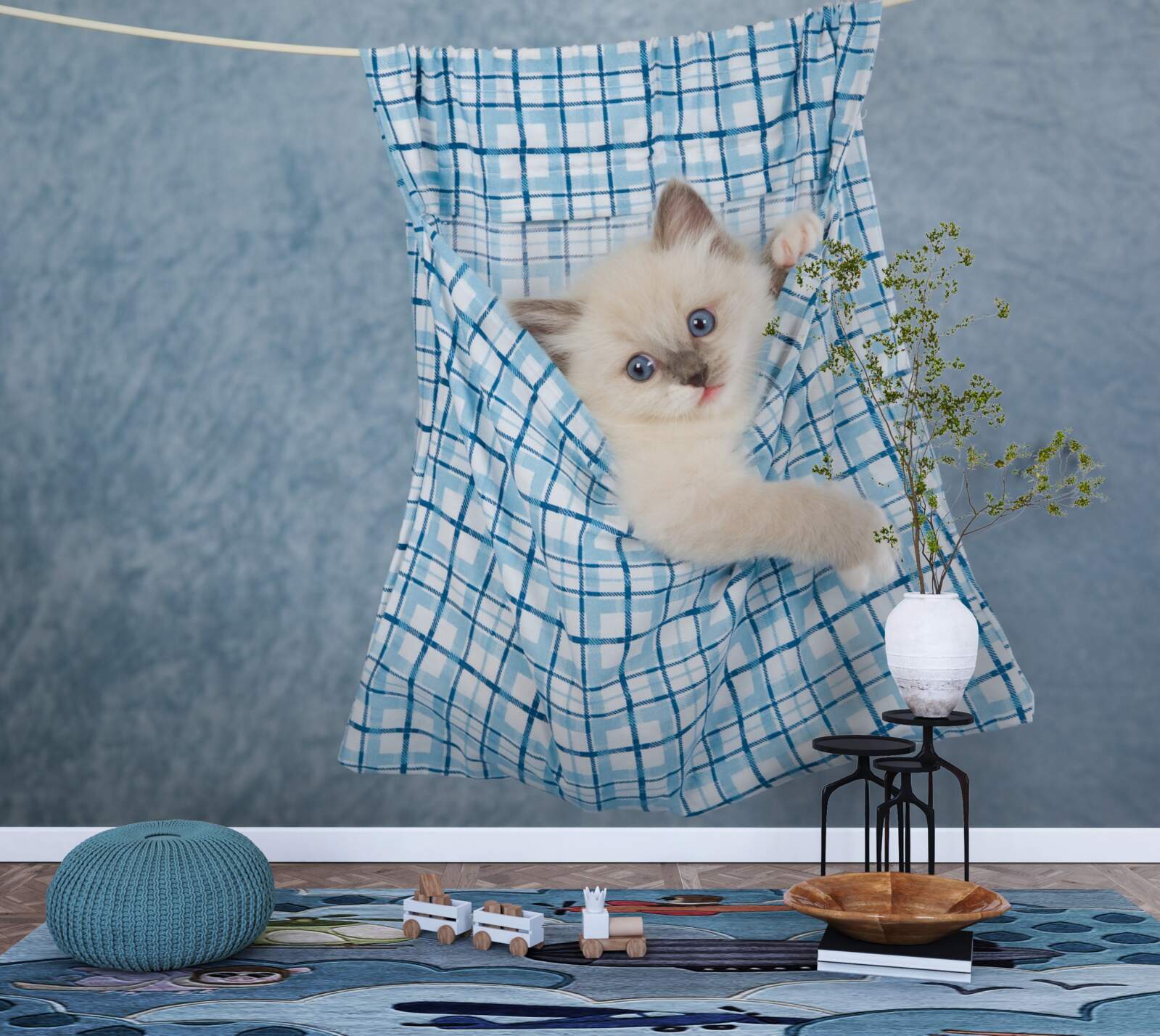 Fototapet sacul s-a dovedit a fi o capcană pentru o pisică siameză