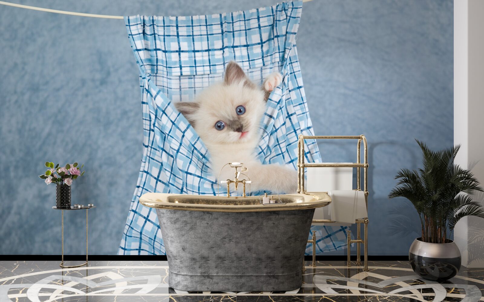 Fototapet sacul s-a dovedit a fi o capcană pentru o pisică siameză