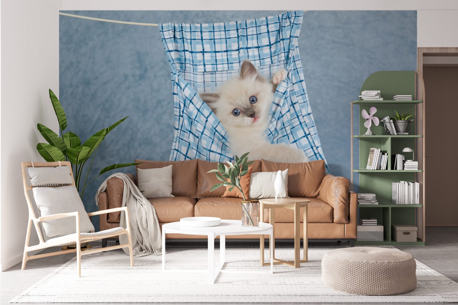 Fototapet sacul s-a dovedit a fi o capcană pentru o pisică siameză