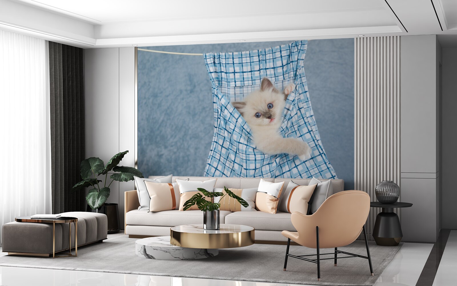 Fototapet sacul s-a dovedit a fi o capcană pentru o pisică siameză