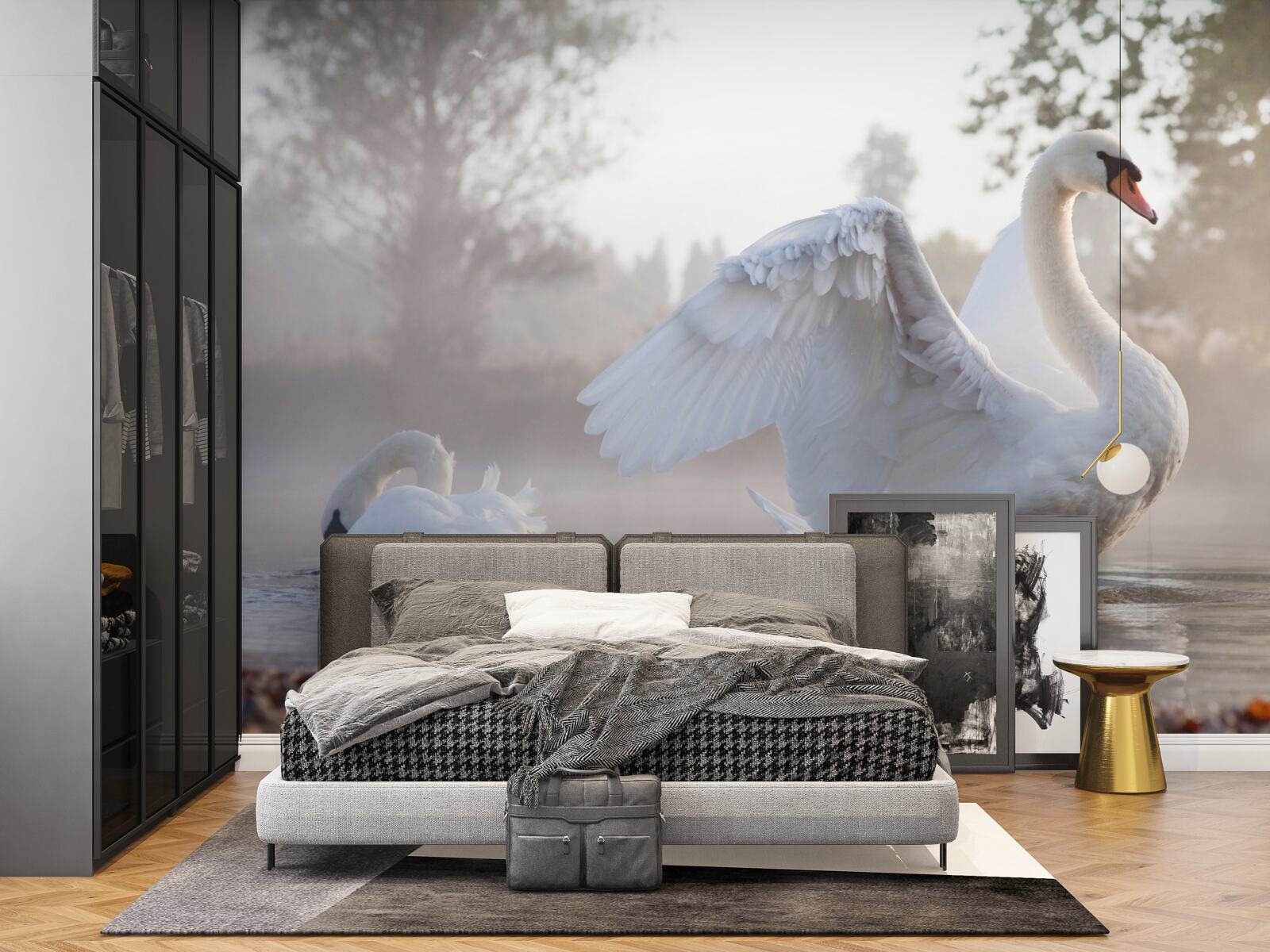 Fototapet lebădă maiestuoasă albă ca zăpada plutind pe apă