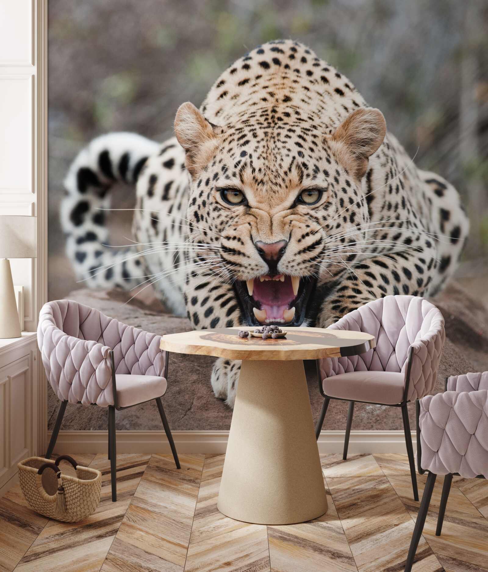 Fototapet leopard excitat care se pregătește să sară