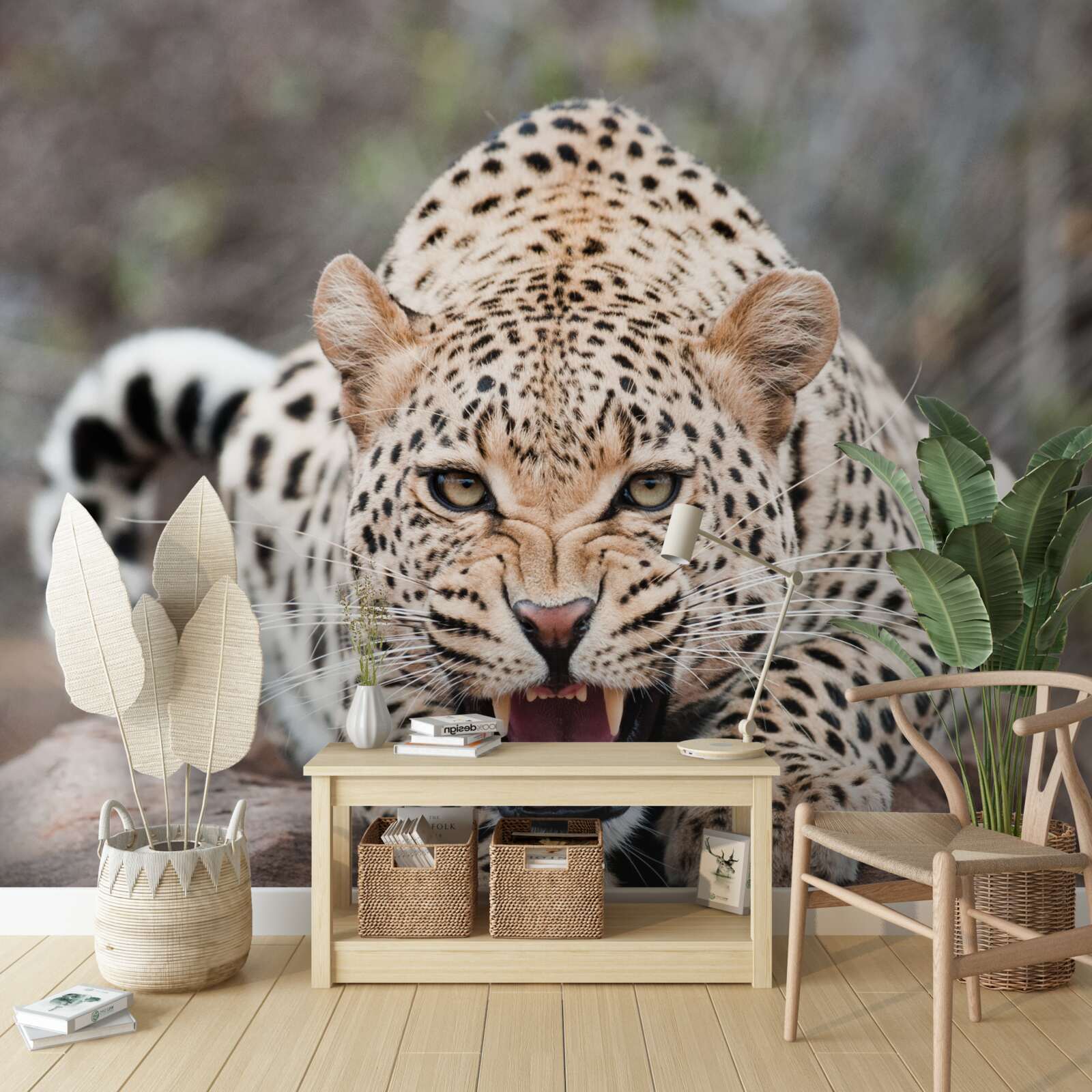 Fototapet leopard excitat care se pregătește să sară