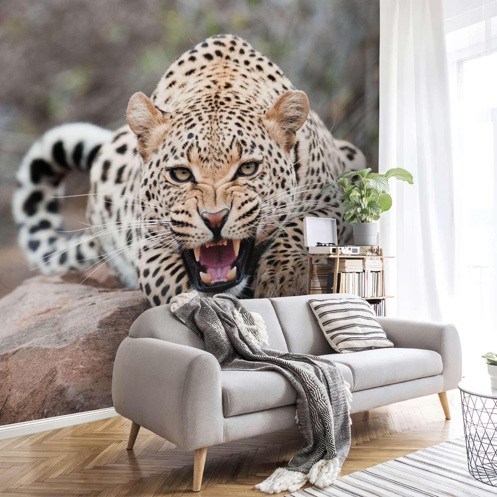 Fototapet leopard excitat care se pregătește să sară