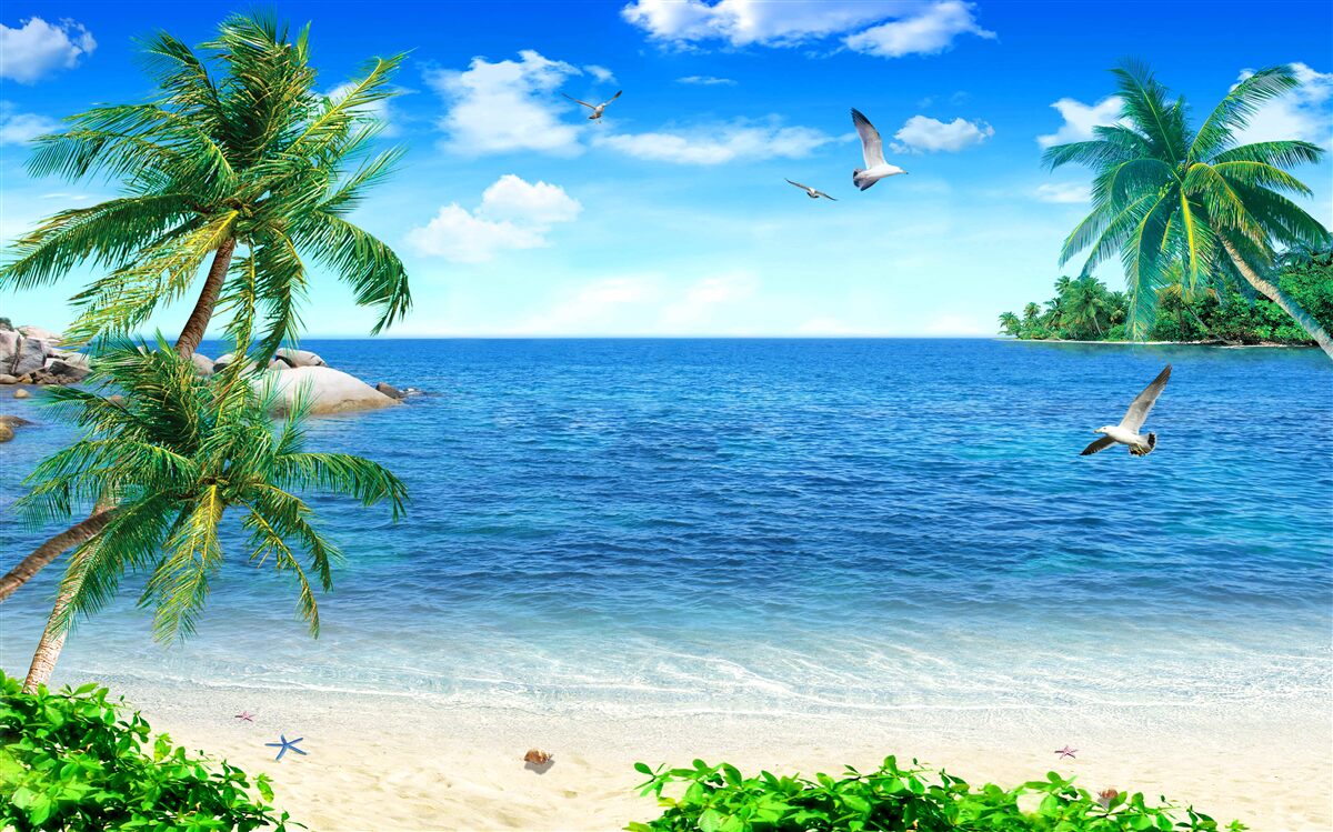 Fototapet linia de coastă a palmierilor în regiunea tropicală