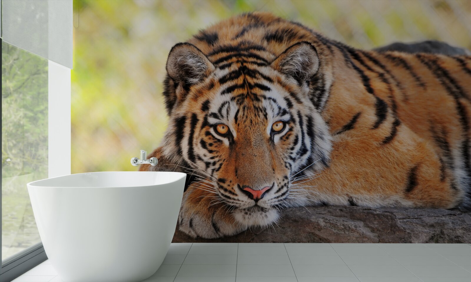 Fototapet tigru prădător prins în ambuscadă