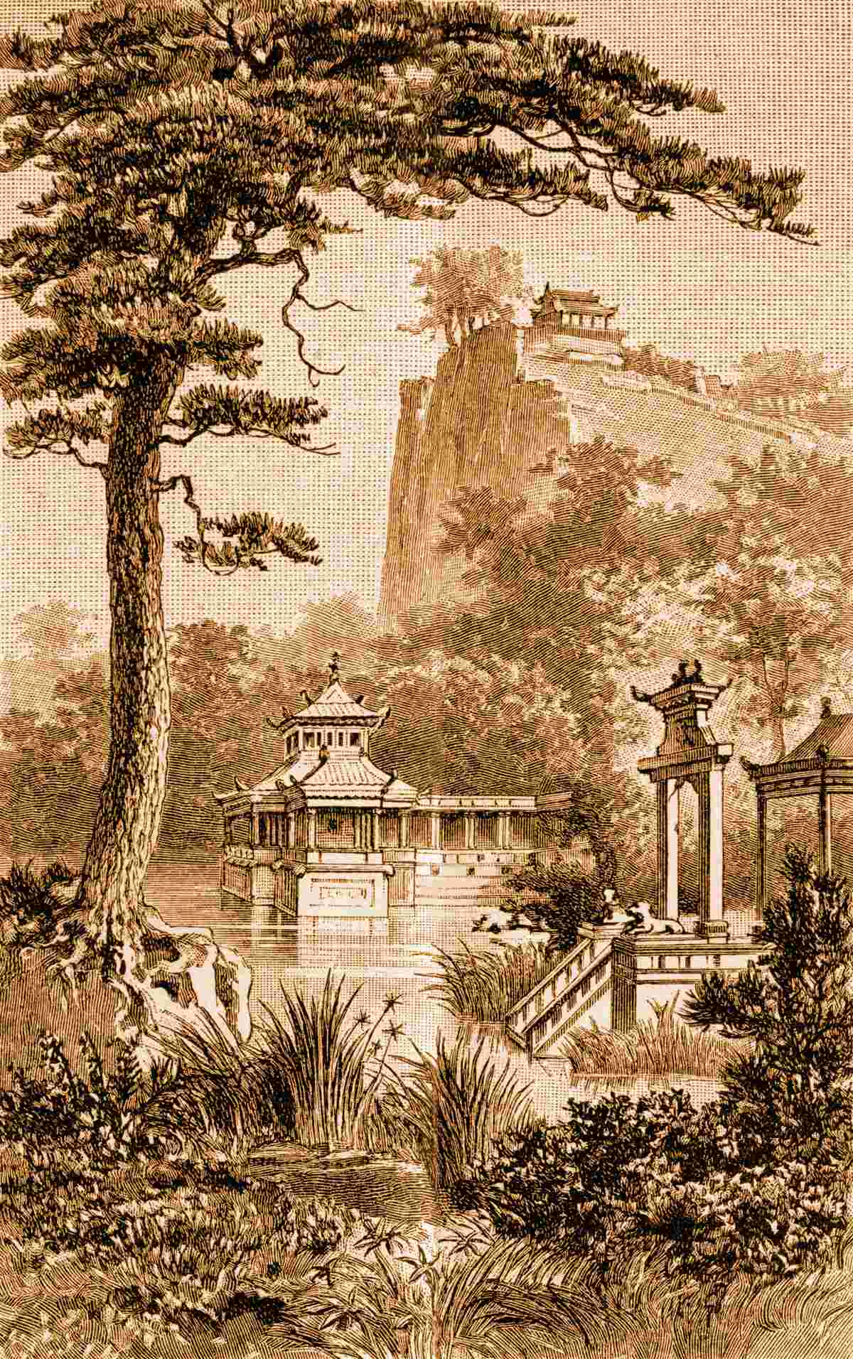 Fototapet grădină chinezească luxuriantă