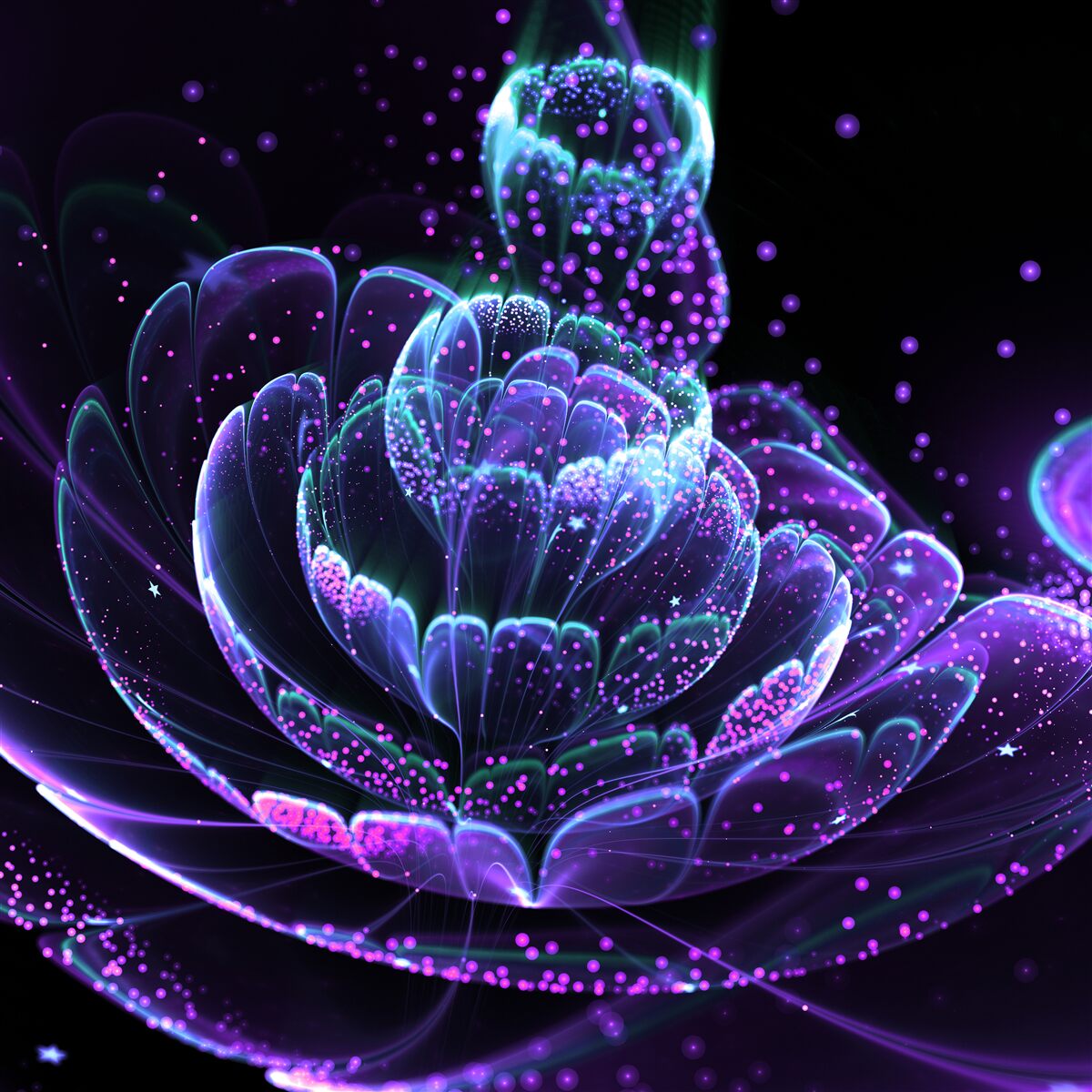 Fototapet floare albastră abstractă pe fundal negru