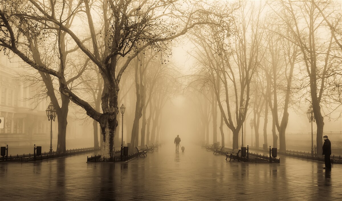 Fototapet bulevardul este plin de ploaie și ceață