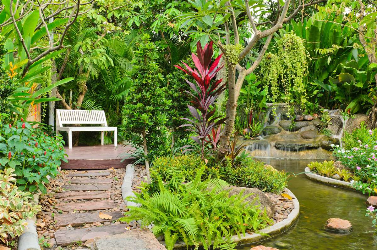 Fototapet paradis tropical într-o zonă împădurită lângă un iaz