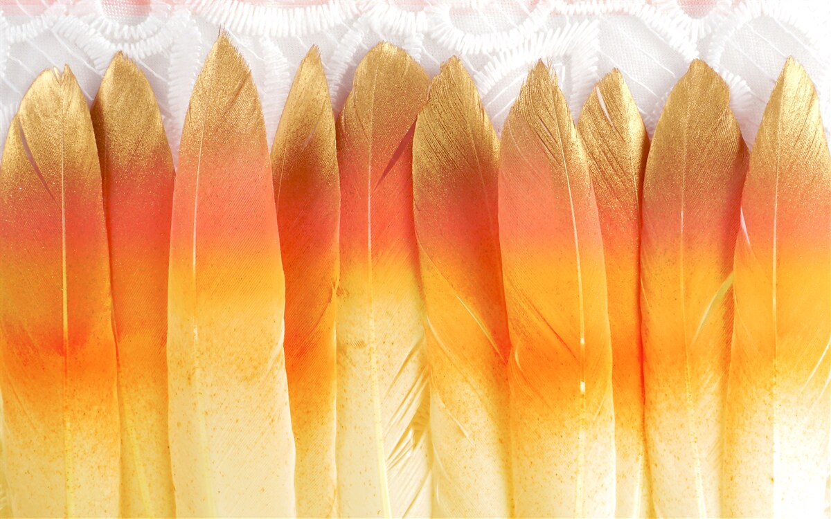 Fototapet pene în nuanțe de galben pe un fundal de zori