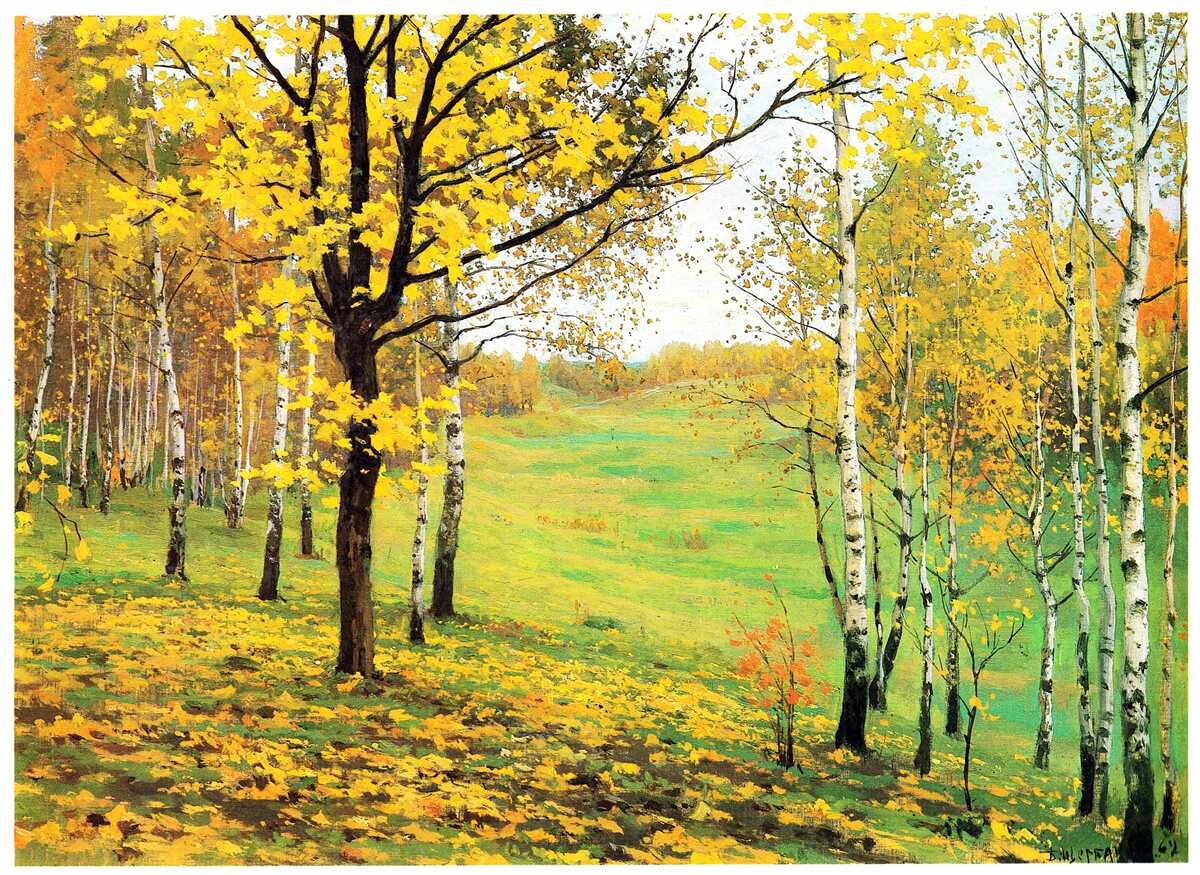 Fototapet Pădurea de toamnă este învăluită în nuanțe uimitoare