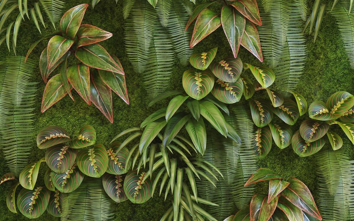 Fototapet frunzele bananelor și ale ferigilor sunt verde închis