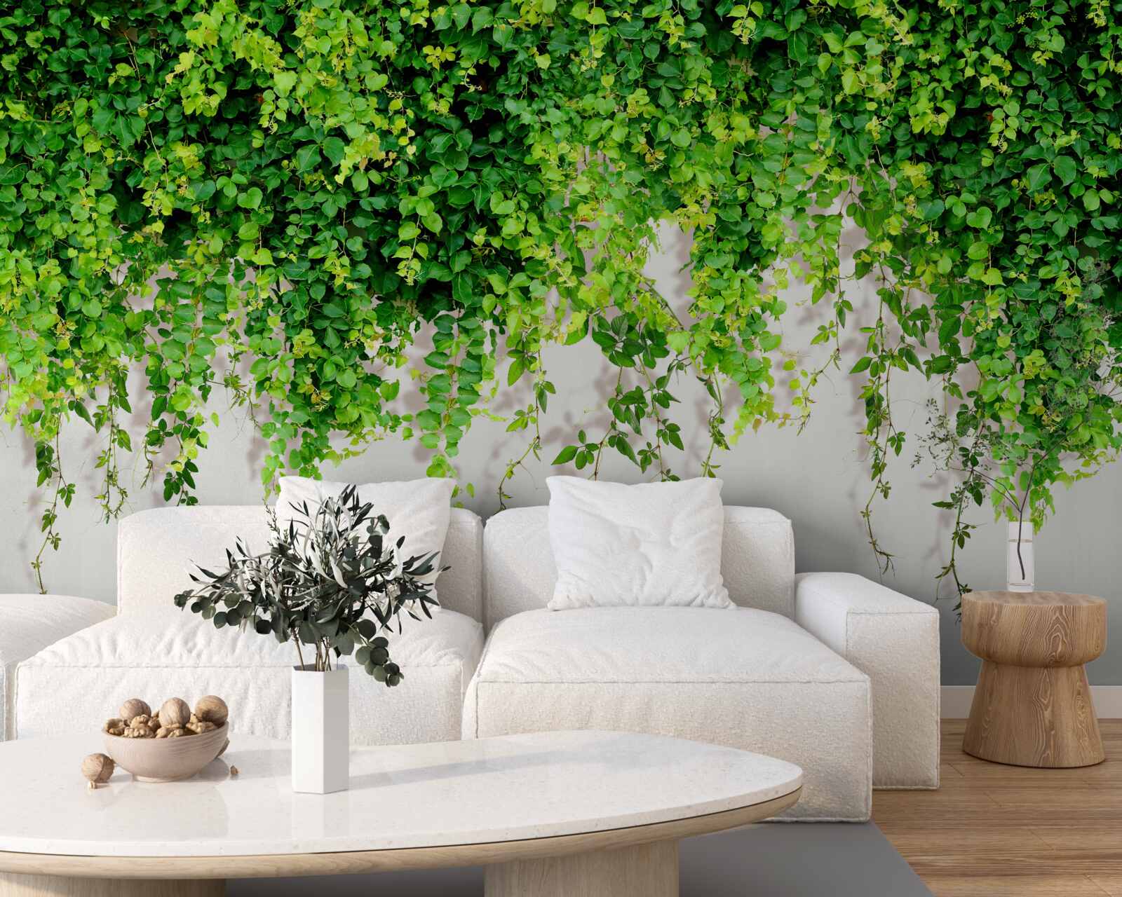 Fototapet plantele suspendate sunt verde deschis