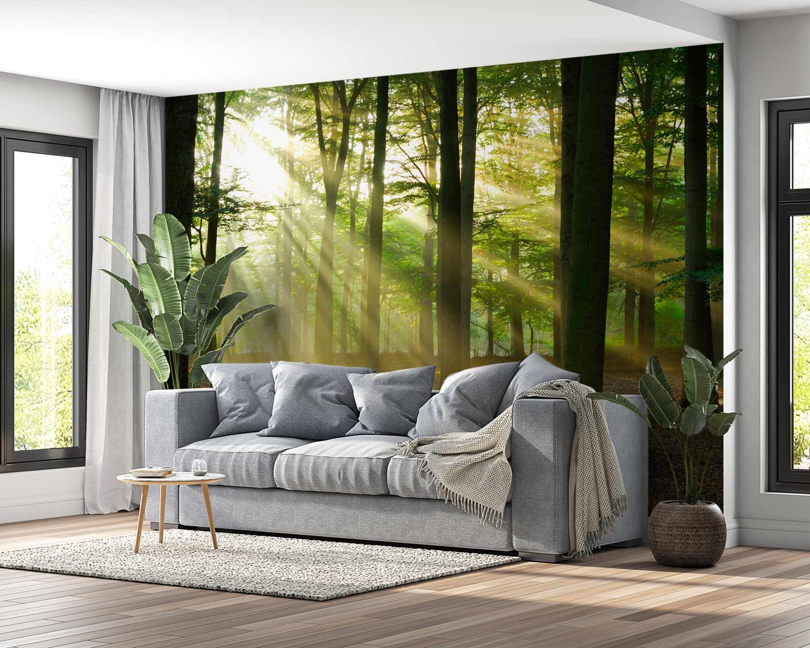 Fototapet razele soarelui pătrund în ceața dimineții în deșert