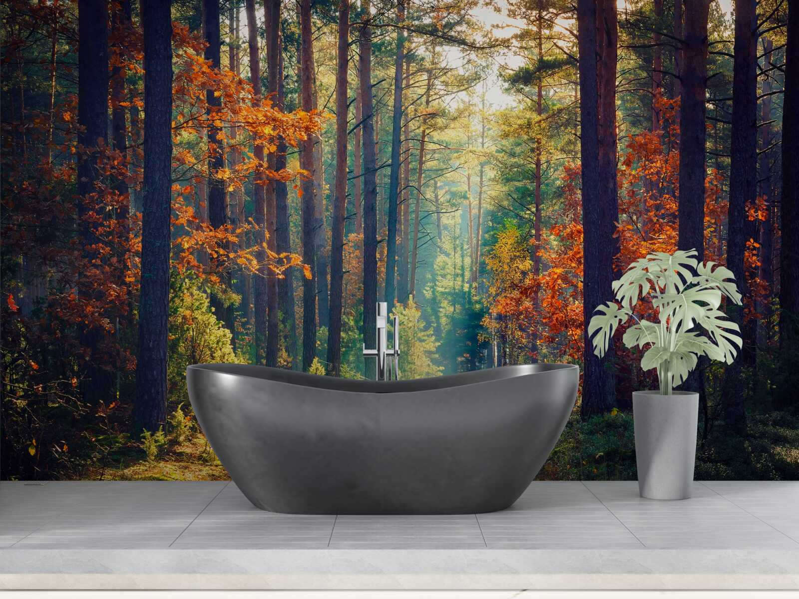 Fototapet O rază de soare într-o pădure de toamnă