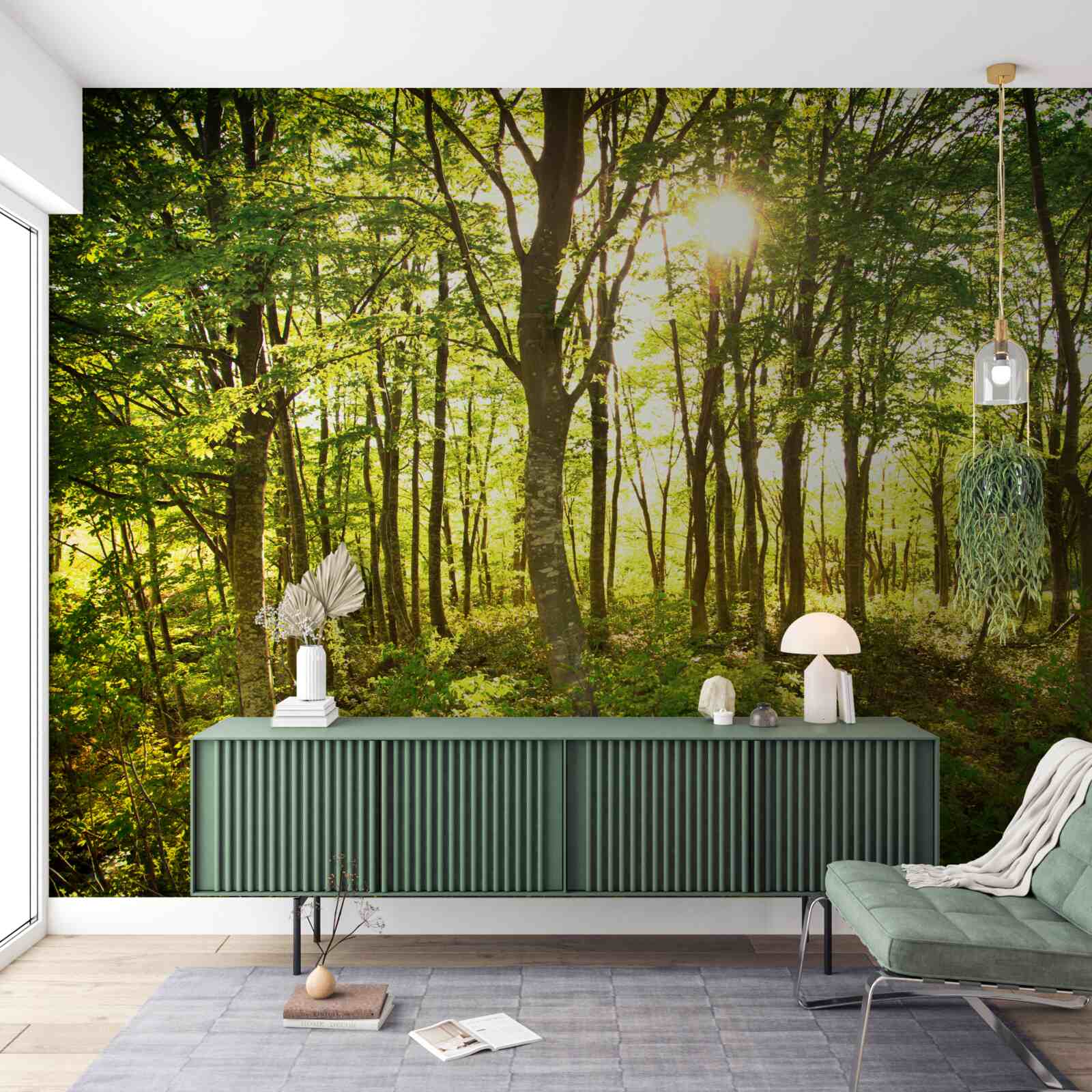 Fototapet lumina soarelui luminează crângul de plopi