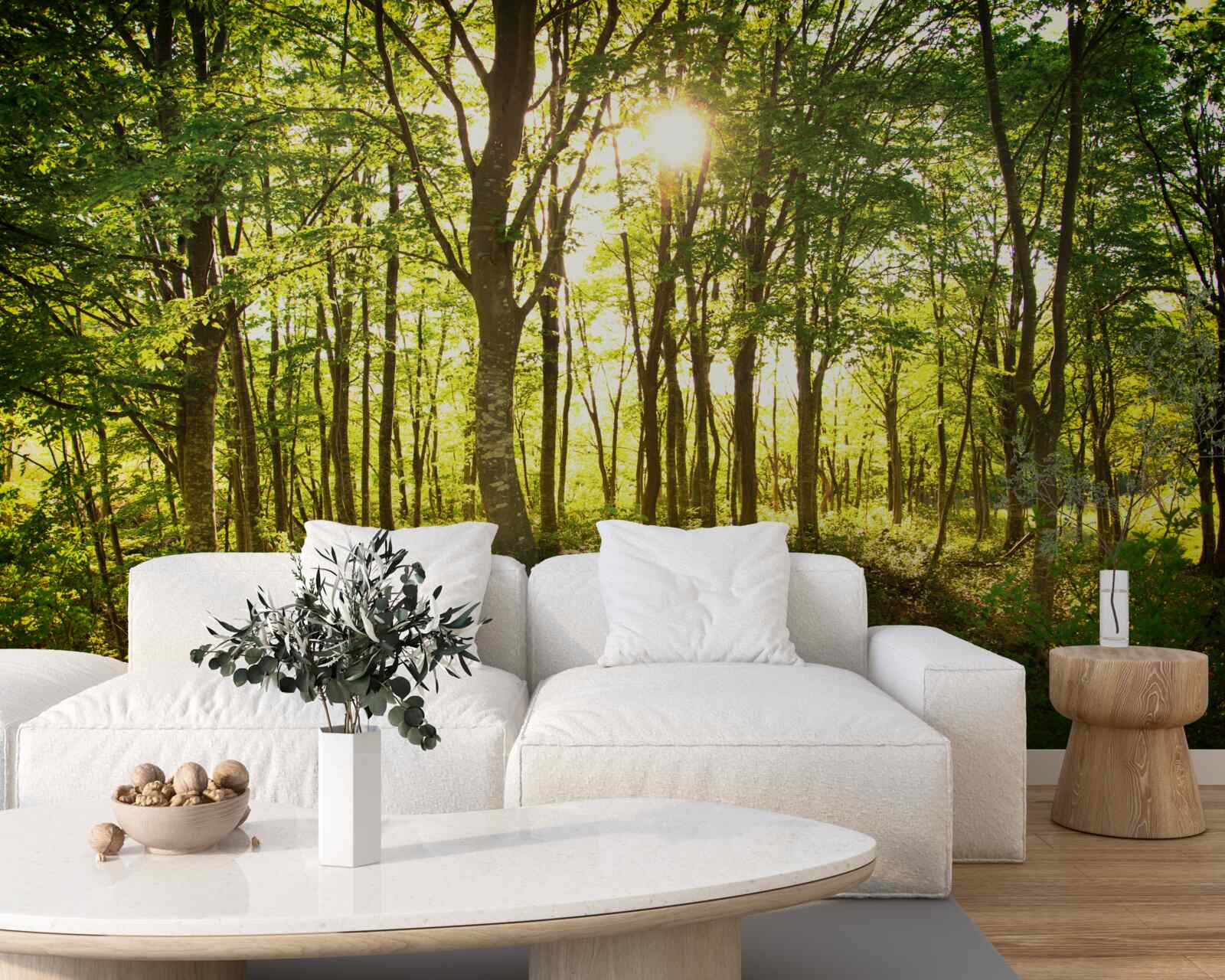 Fototapet lumina soarelui luminează crângul de plopi