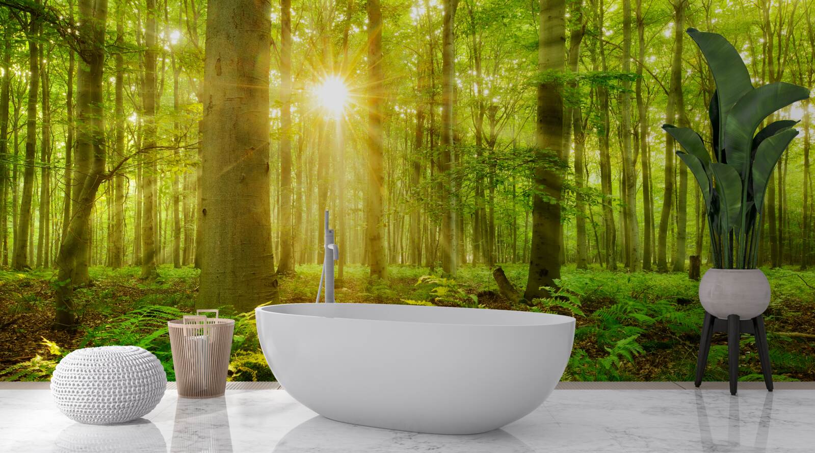 Fototapet pădurea prinde viață în soarele dimineții