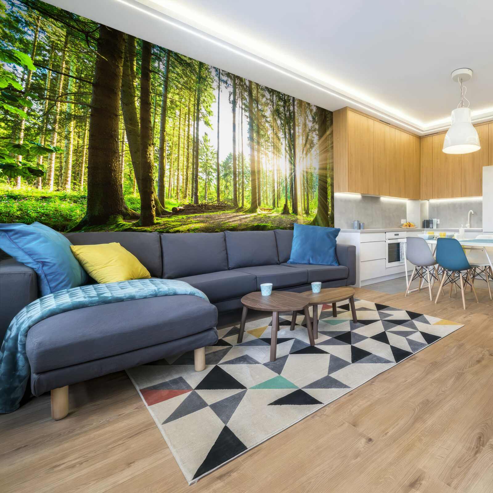 Fototapet razele soarelui pătrund printre copacii înalți