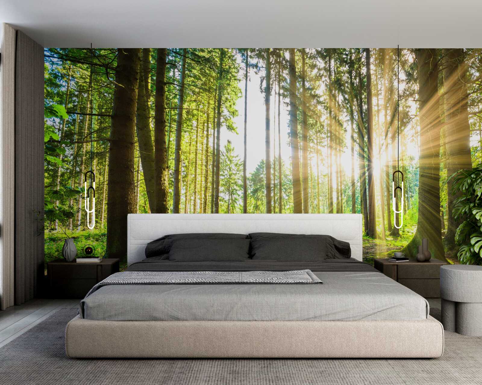 Fototapet razele soarelui pătrund printre copacii înalți