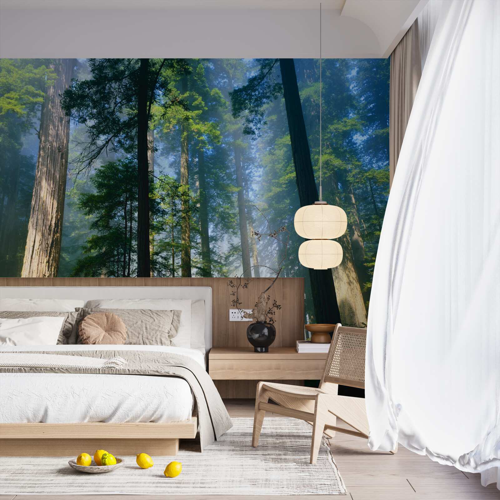 Fototapet strat subțire de ceață printre copacii înalți din pădure