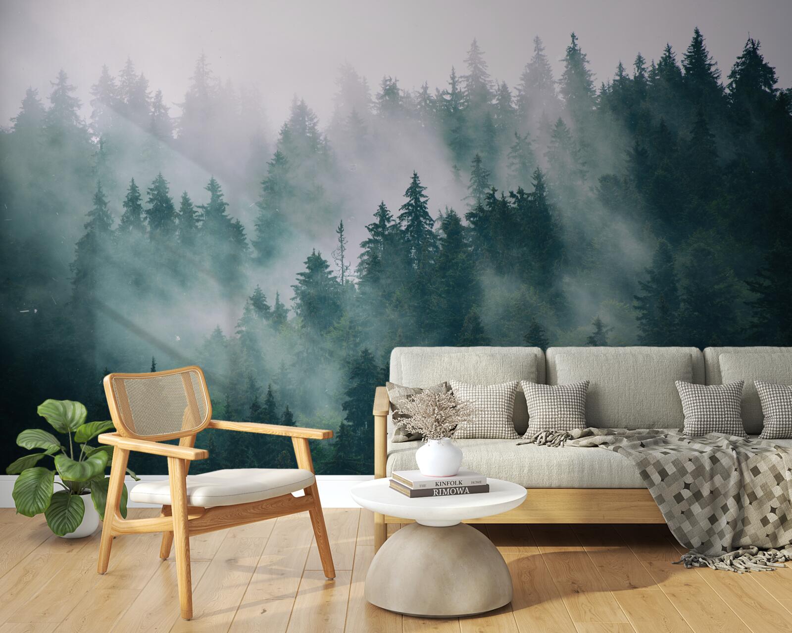 Fototapet oră de dimineață cețoasă într-o pădure de conifere