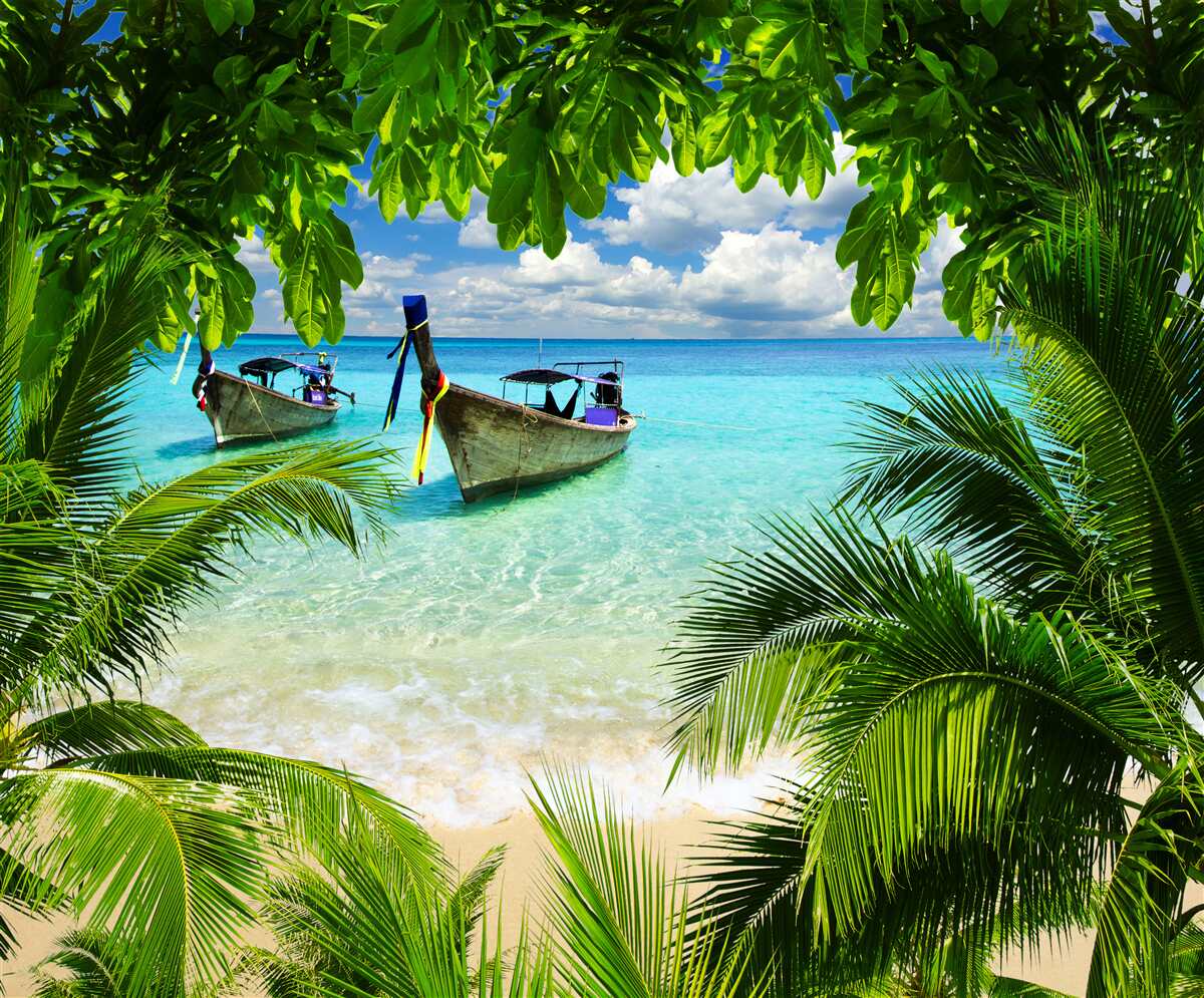 Fototapet nave în apropierea coastei