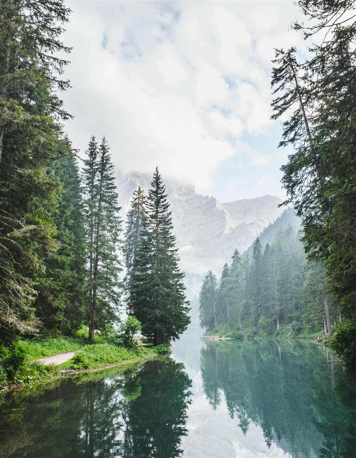 Fototapet râul de munte învăluit în ceață curge liniștit