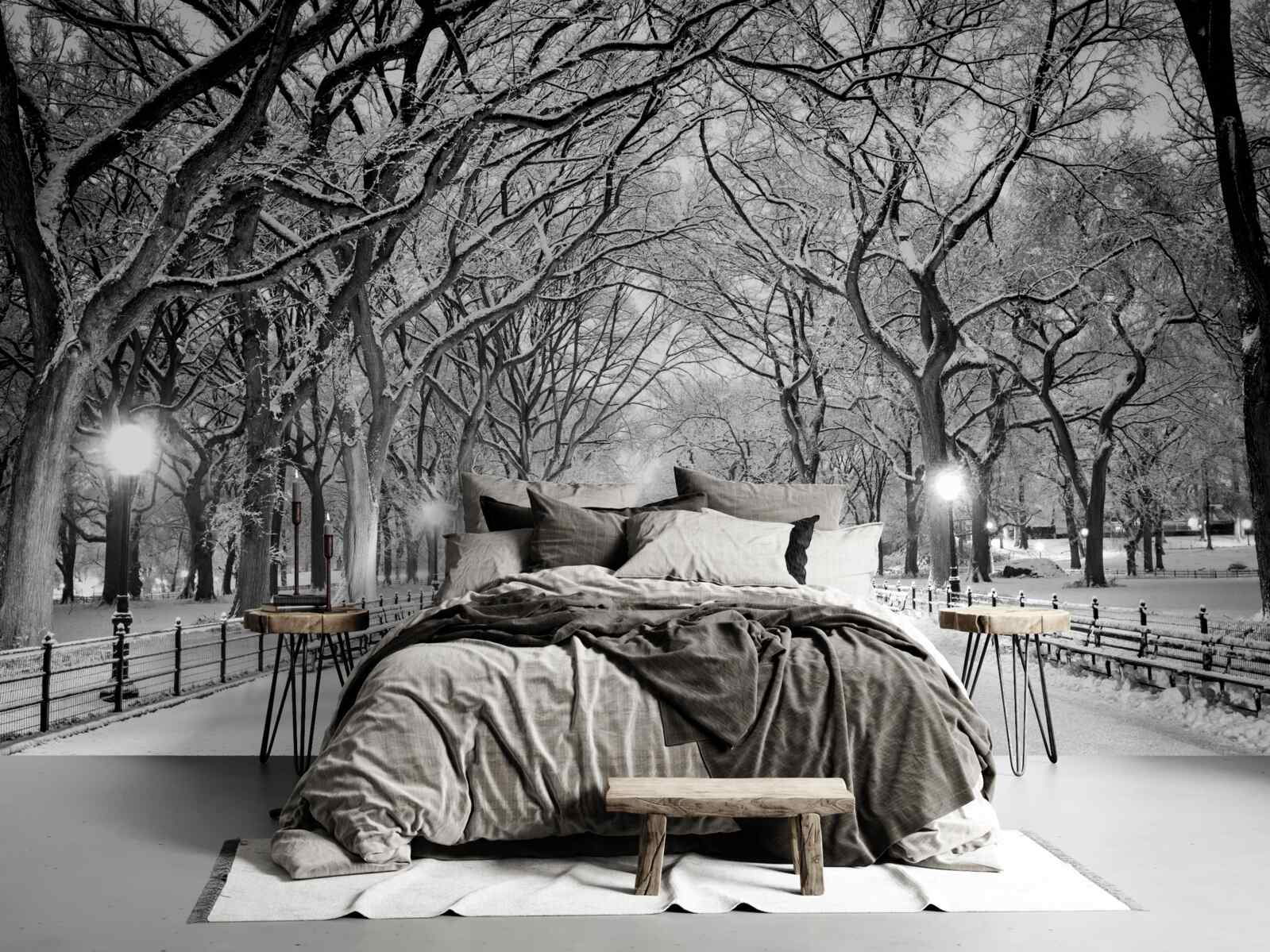 Fototapet Cărare înzăpezită între copaci