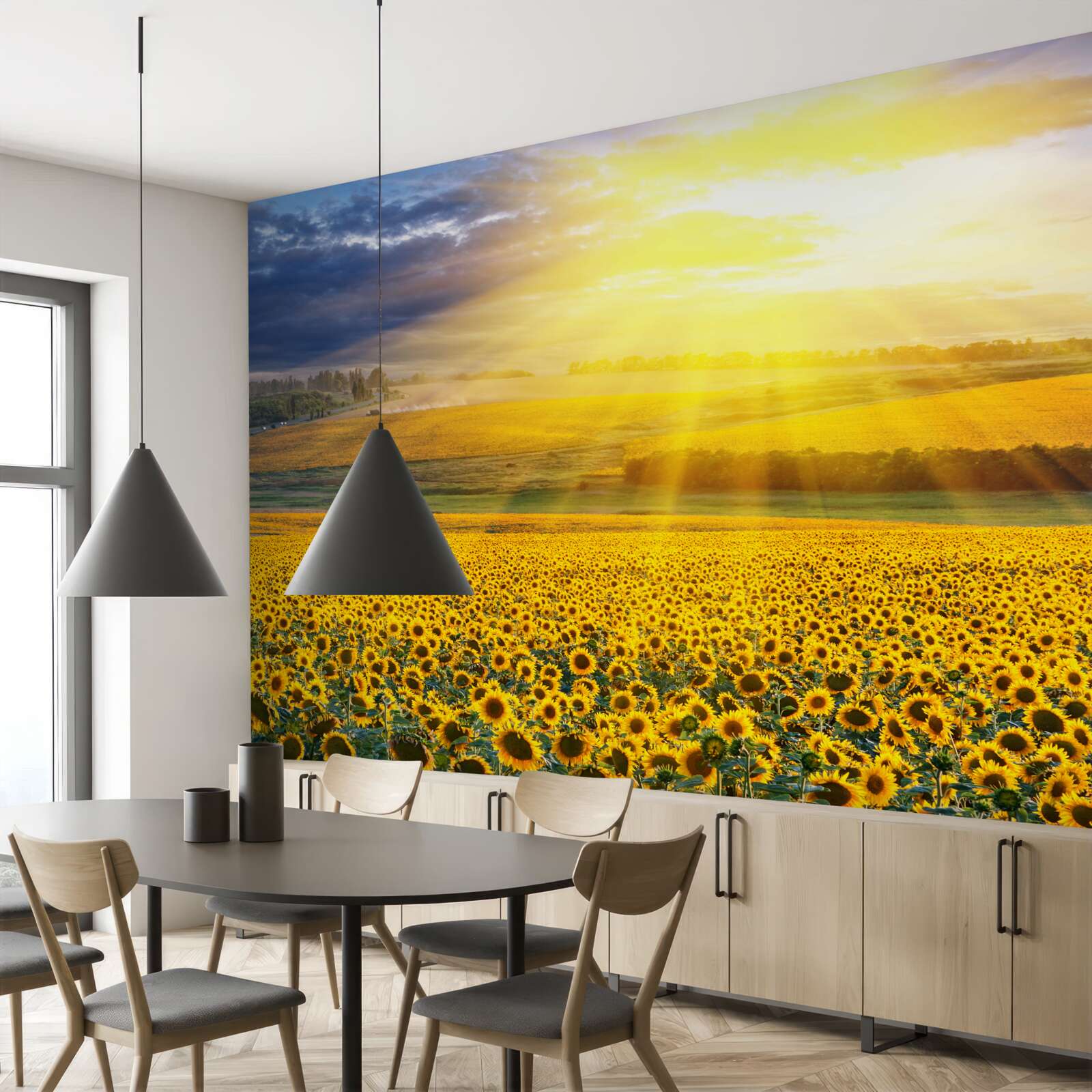 Fototapet soarele este plin de strălucire peste un câmp de floarea-soarelui luxuriantă