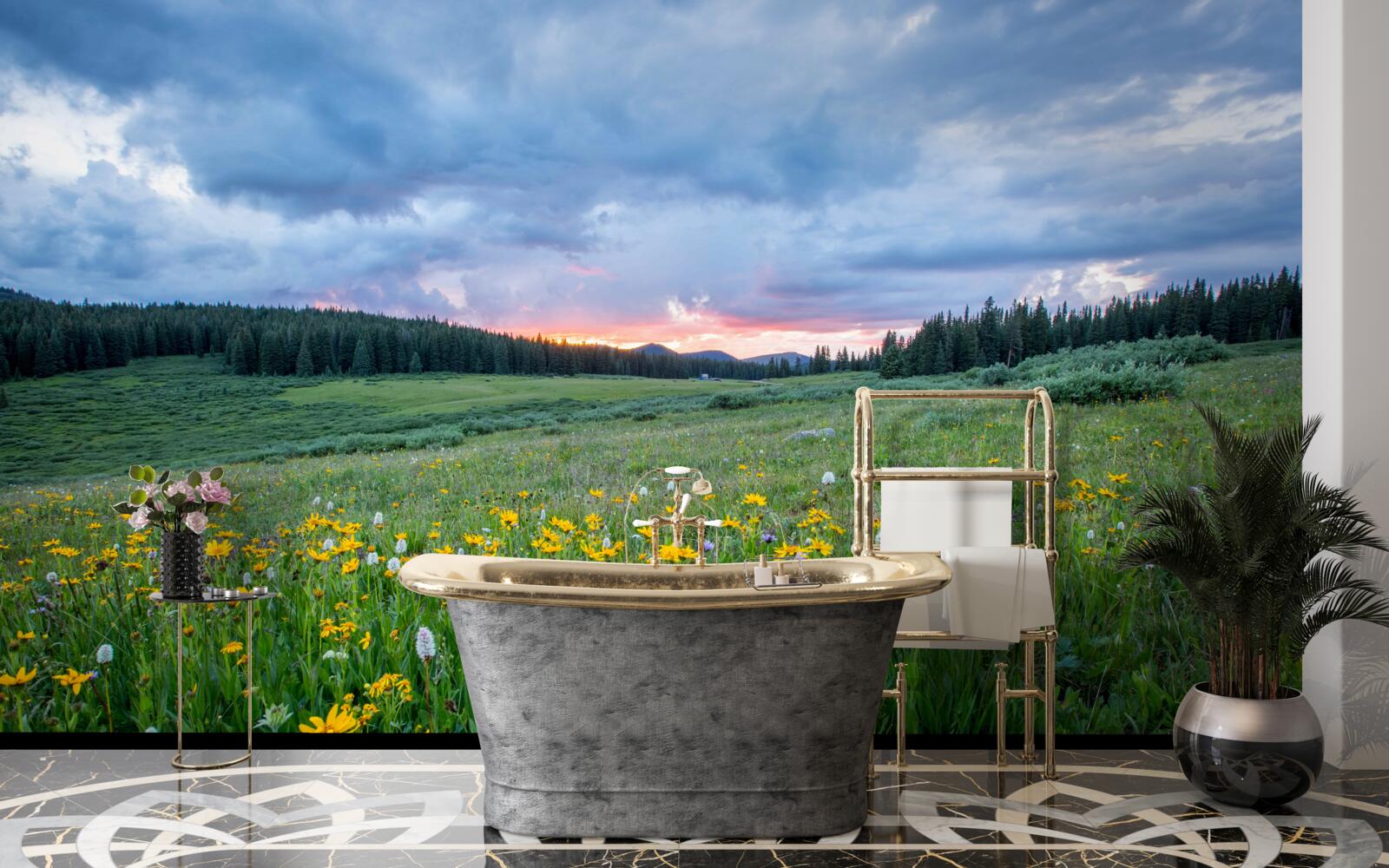 Fototapet plante de câmp pajiște