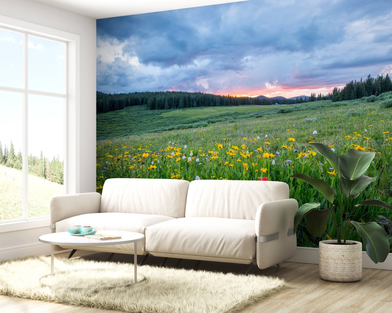 Fototapet plante de câmp pajiște