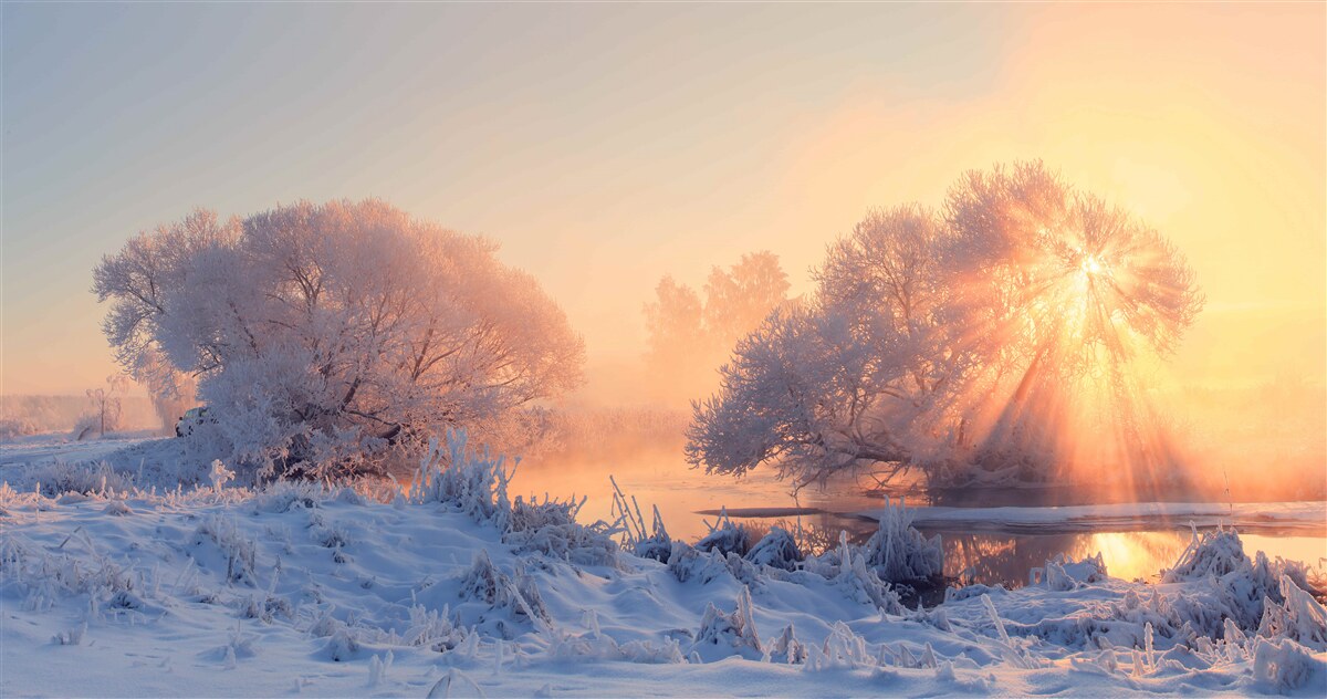 Fototapet dimineață de iarnă în frig