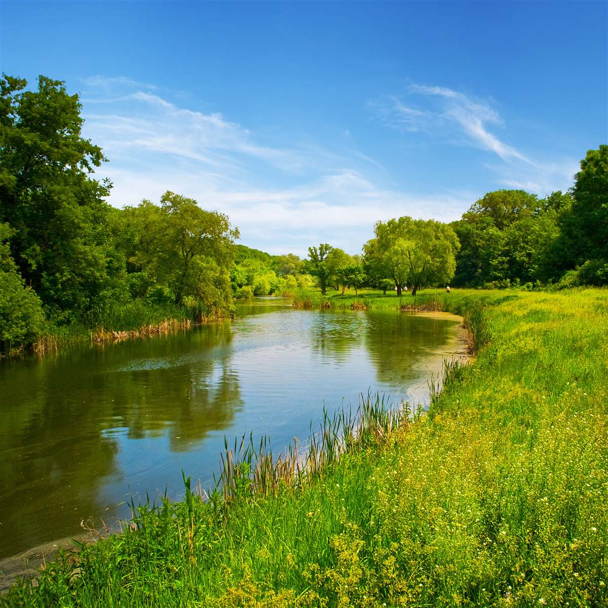Fototapet o pajiște verde pe care curge o apă calmă