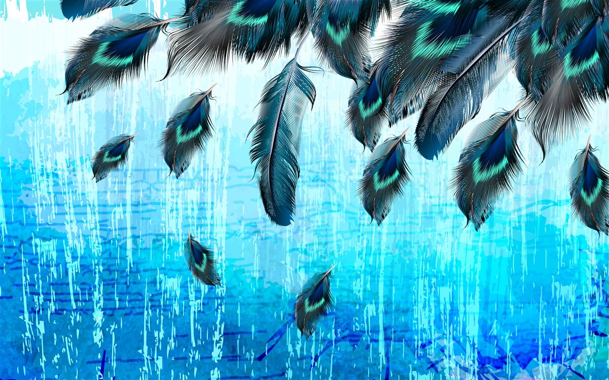 Fototapet pene de păun pe un fundal albastru