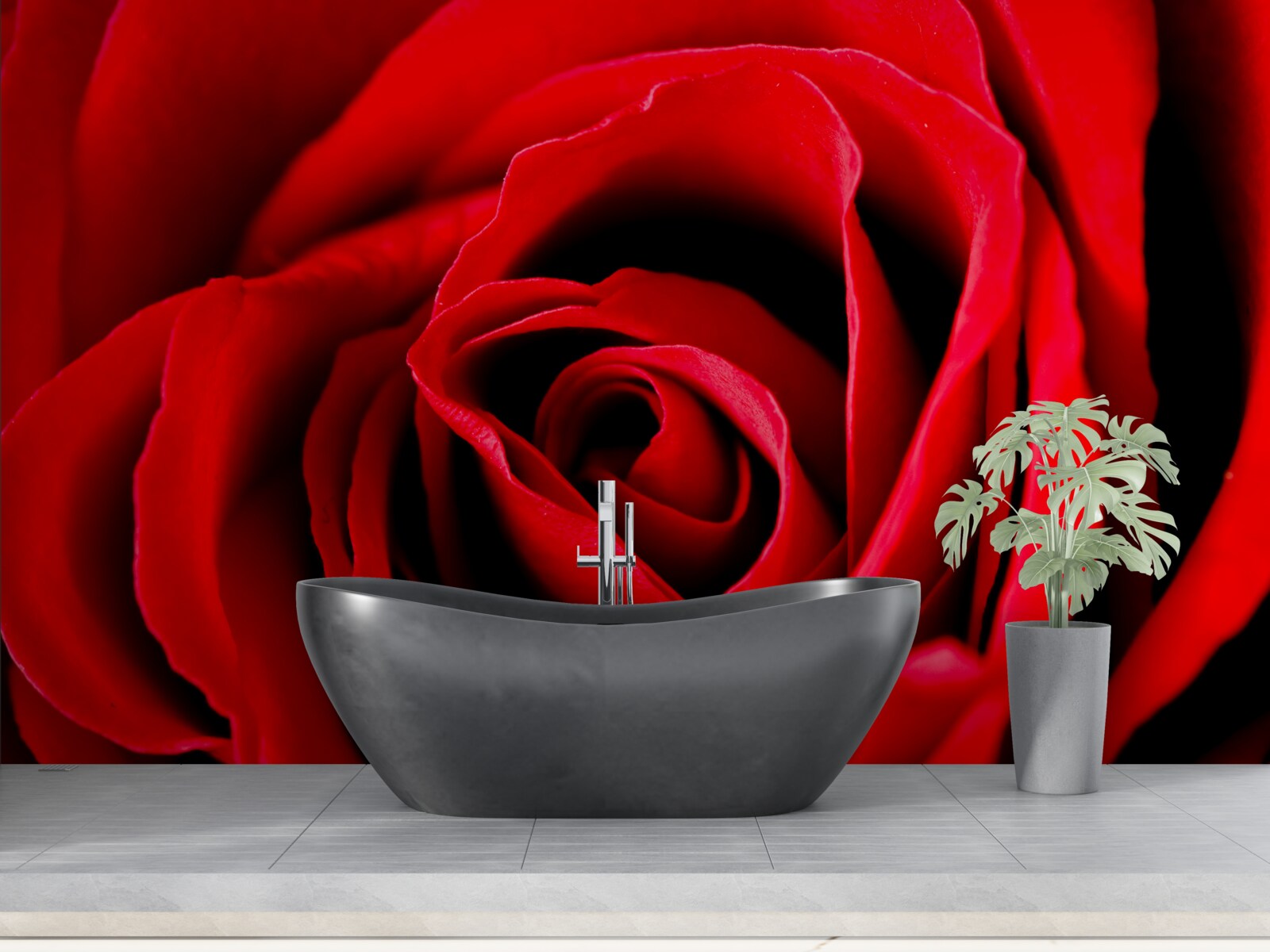 Fototapet trandafir scarlet superb